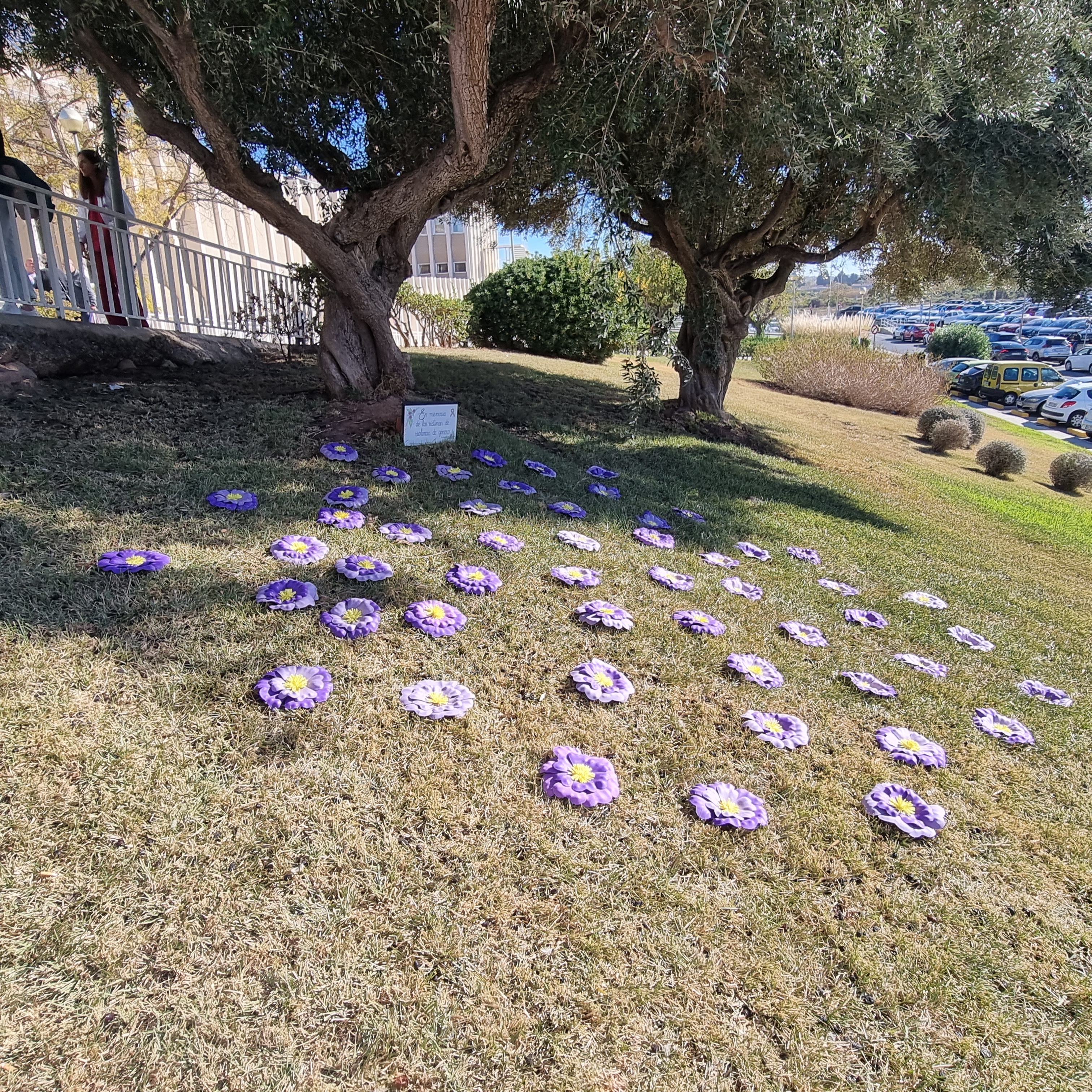 Flores moradas clavadas en el suelo bajo el árbol con el cartel conmemorativo por las mujeres muertas por violencia de género