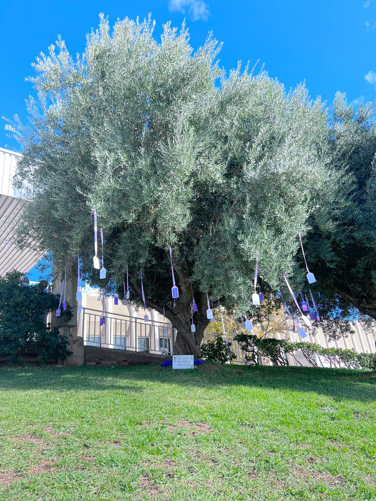 Placa commemorativa instal·lada sota un arbre decorat amb cordills morats i al final d'ells el nom d'algunes víctimes de violència de gènere d'enguany
